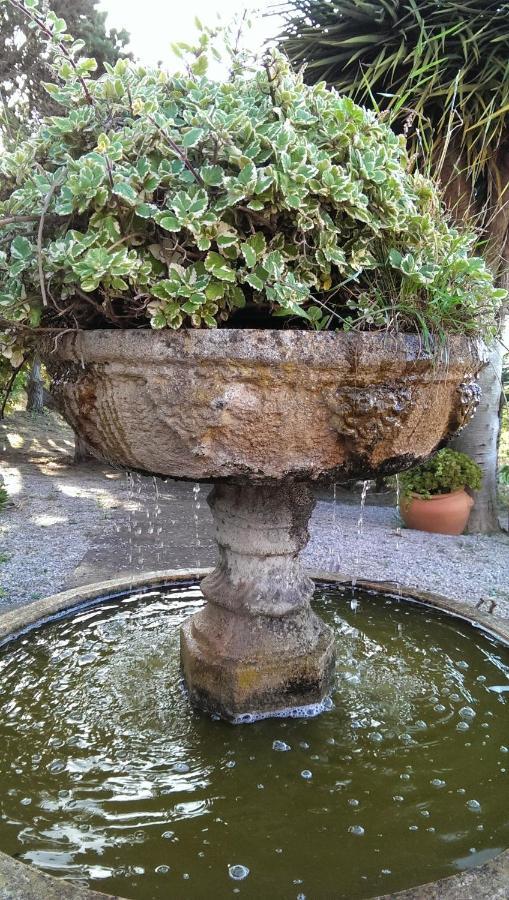 Villa Rural El Poleo D&R Con Piscina Climatizada Privada Y Solarium Pico de Viento Buitenkant foto